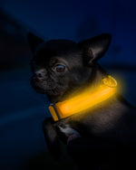 Hundehalsbånd m. LED